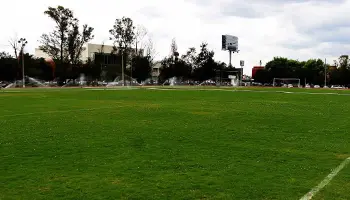 Rinat Eventos